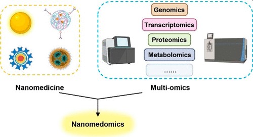 Check out our review article in @acsnano on the multiomic analysis of nanomedicines. Great collaboration with @XiaoHaihua. @ChemieBiochemie @ruhrunibochum. pubs.acs.org/doi/10.1021/ac…