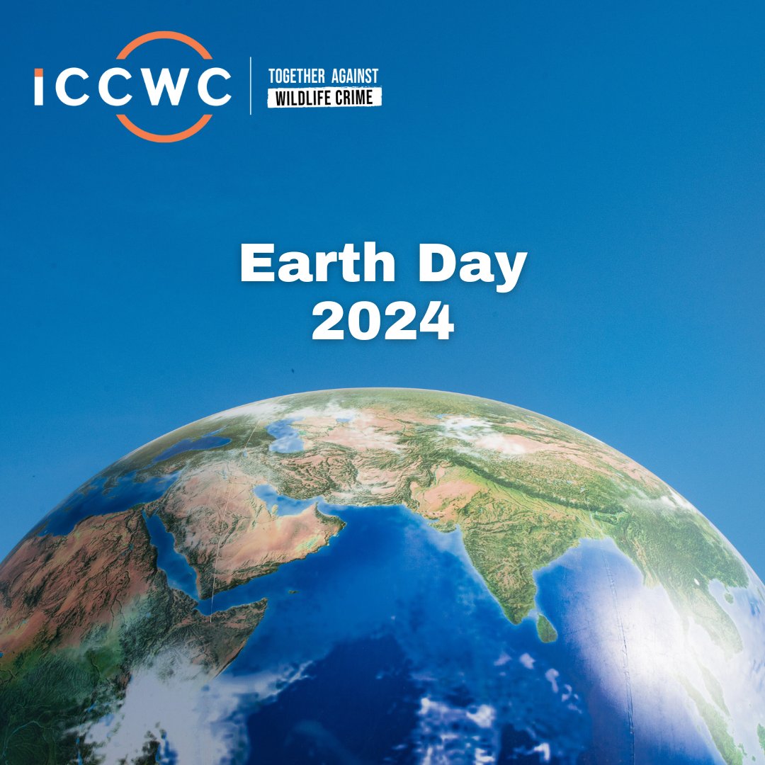 Today is #EarthDay! 
🌎🐘🦜🦈🌵

Protecting our planet means safeguarding its wildlife too. By combating #wildlifecrime, we can work towards a healthier Earth. 

Find out more about #ICCWC ➡️ bit.ly/3EimxCg

#WorldFreeOfWildlifeCrime