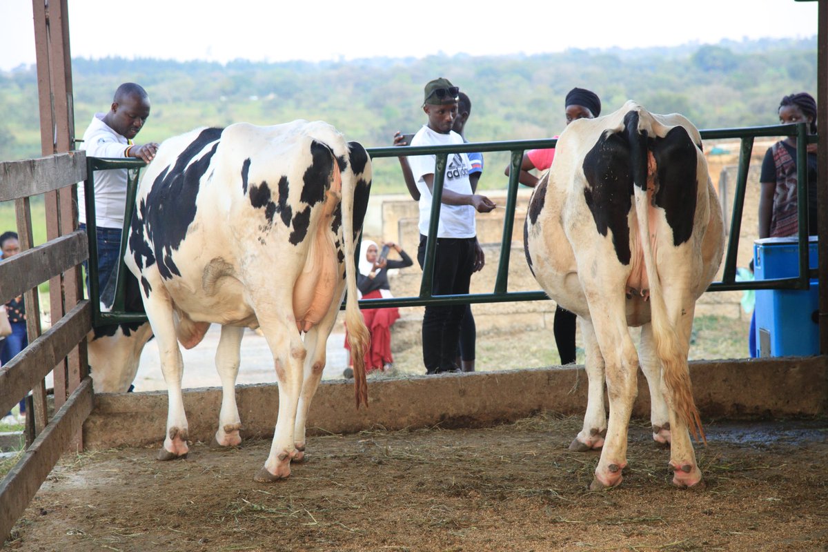 unyfa1's tweet photo. This year’s tour is your opportunity to interact with likeminded youth and fellow farmers. Come along for the journey as we explore farms from Uganda all the way to Kenya 🇰🇪. 
Book your slot today at UGX 1 million. 
Foreigners pay USD 400. 

#10thAgribusinessTour https://t.co/Z8ASw9gEoX