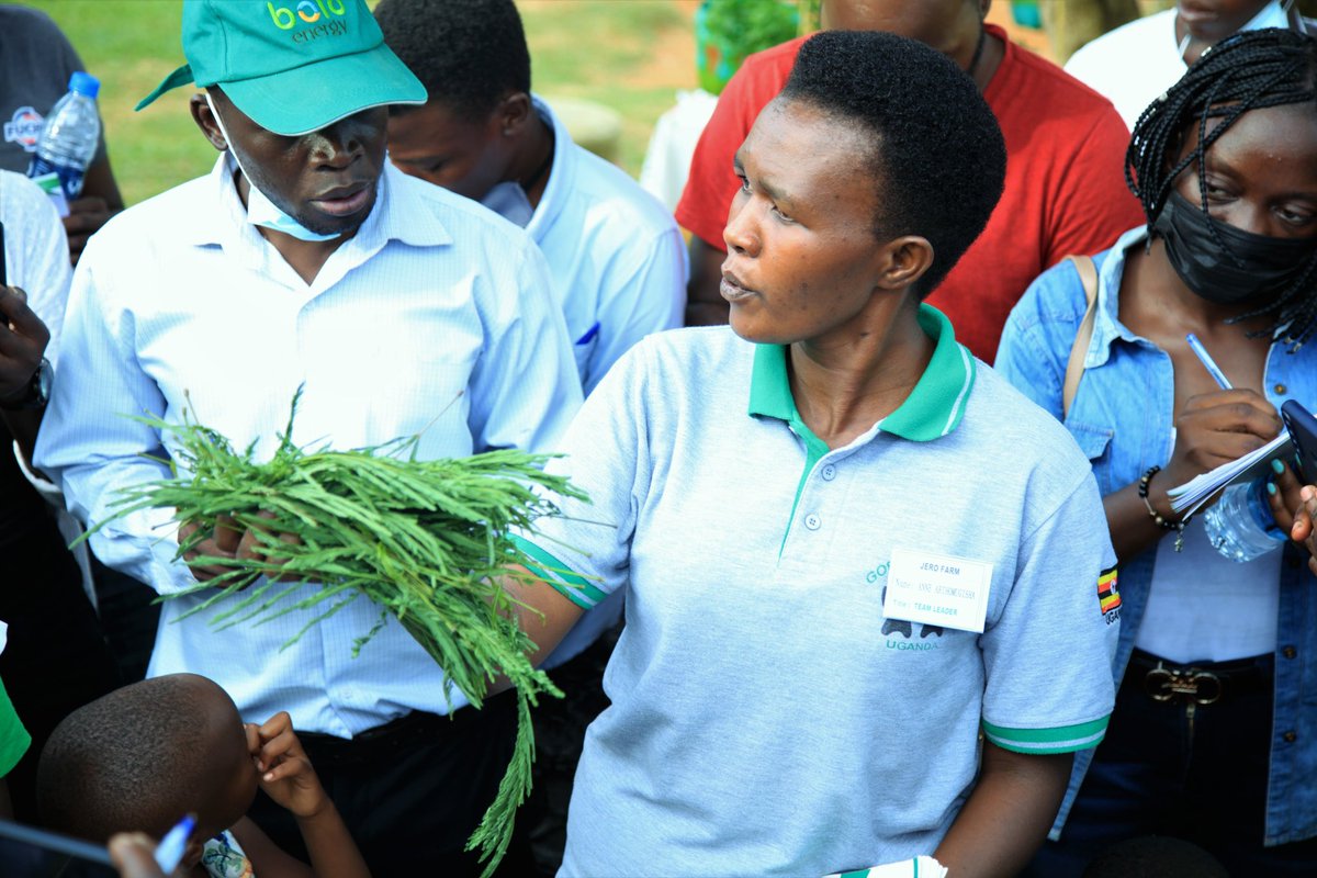 unyfa1's tweet photo. This year’s tour is your opportunity to interact with likeminded youth and fellow farmers. Come along for the journey as we explore farms from Uganda all the way to Kenya 🇰🇪. 
Book your slot today at UGX 1 million. 
Foreigners pay USD 400. 

#10thAgribusinessTour https://t.co/Z8ASw9gEoX