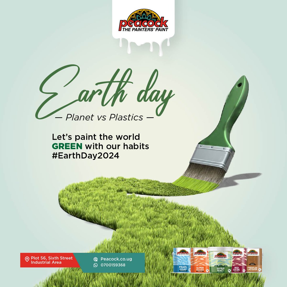 We celebrate the beautiful planet with our vibrant and eco-friendly paints! 💚

#HappyEarthDay🌍🌳
#PeacockPaints🦚
#ThePaintersPaint