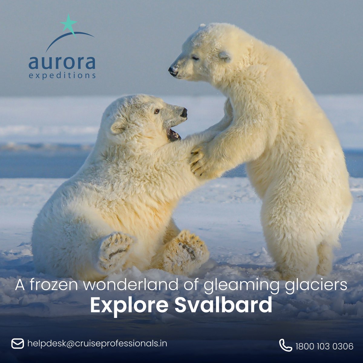 Explore the Realm of Polar Bear on an expedition cruise to Svalbard with Aurora Expeditions.

#auroraexpeditions #cruiseprofessionals #cruiseaddict #cruisetravel #traveller #exploring #expeditioncruise #arctic #svalbard #cruiseholiday