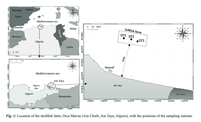MeditMarSci's tweet photo. DILMI, S., BACHETARZI, R., & REBZANI-ZAHAF , C. (2024). Macrobenthic fauna and the ecological status of a shellfish farm in the Mediterranean Sea (Algeria). Mediterranean Marine Science, 25(1), 116–135. https://t.co/pbkT7WF7BG
#macrobenthic #fauna #bioticindex #Shellfishfarm https://t.co/kFGgtNpo6l
