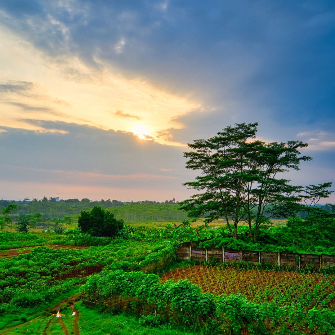 Happy #EarthDay! 🌍 Let's celebrate our beautiful planet and pledge to protect its biodiversity and ecosystems. Together, we can make a difference for a sustainable future. 🌱 #Organic #OrganicFarming #ClimateFarming #OrganicClimateNET

Check the project 👉bit.ly/3Jdg1P5