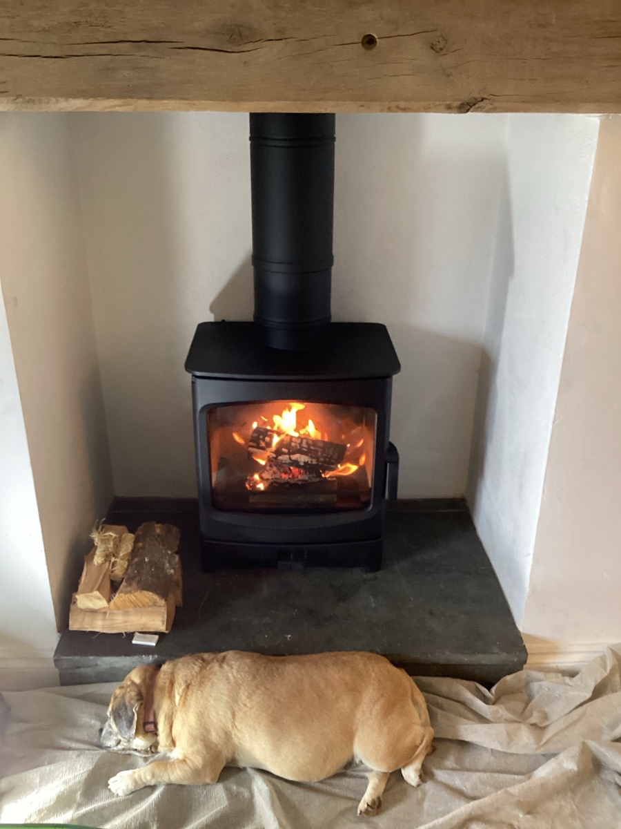 You all know we love to see a happy puppy and this one looks pretty happy to me!

#interior #interiordesign #fireplace #cornwall #woodburner #warmhome #heating #cornishhomes #homesincornwall #newhomesincornwall #offers