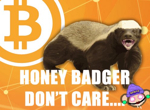 OFansToken's tweet photo. @TylerDurden @FarmerJoe0x Damn right honey badgers have had a legacy that goes way TF back to 2011.  

I was there a year before that and will always have the respect for the 🦡🧡 https://t.co/IUXMszGdF2