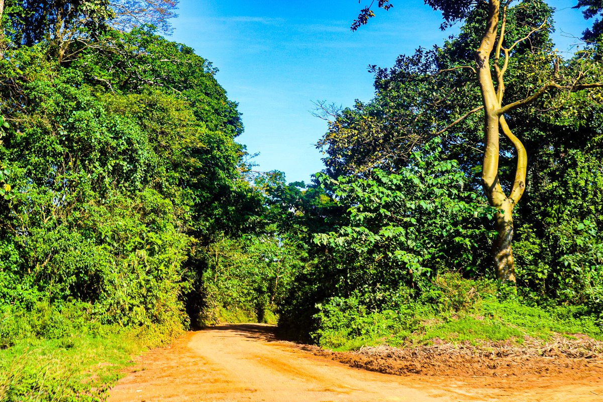 osmuganda's tweet photo. In our quest to map every corner of Uganda's model planning areas, our team is venturing into remote communities, where access to accurate mapping data is often limited. @jica_direct_en @JicaUganda #Mappingforfuture #MappingforRapidResonse https://t.co/6j1DPjHeZ1
