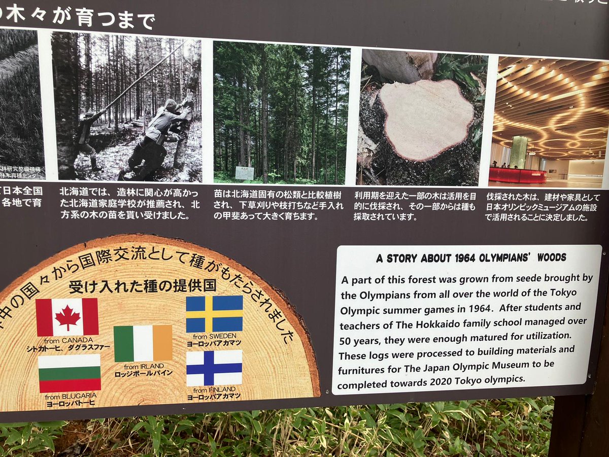 Enjoyed visiting the Irish trees planted in Engaru, Hokkaido to mark the 1964 Olympics🌲Still going strong 60 years later. A unique link between Ireland and Japan 🇮🇪🤝🇯🇵