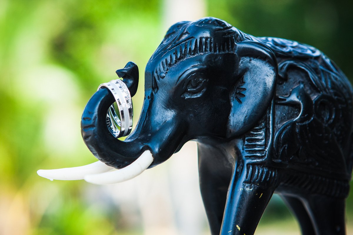 The favors.

Photos: Louise Powell
Venue: Anda Lanta Resort and Spa

#Lantabliss #LantaWeddingPlnner #KohLanta #tropicalwedding #Islandwedding #destinationwedding #beachwedding #destinationplanner #loveLanta #Lantaphotography #weddingphotography #Thailand #Siam #Noelephantriding