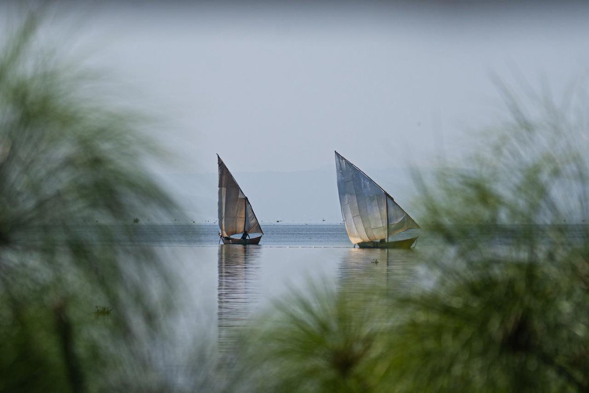magicalkenya's tweet photo. Experience pure tranquillity as you glide through the waters of Lake Victoria. ⛵️📸
#MagicalKenya #365DaysOfMagic #MyKenyanBucketlist https://t.co/oU5V9ovEbK