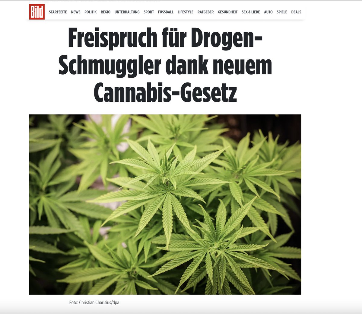 Das neue Cannabisgesetz von SPD/GRÜNE/FDP -> Dealer mit 450 Kilogramm (!) muss freigesprochen werden. Und er enthält eine Entschädigung. Ist ja nicht so, dass ALLE Innenminister davor gewarnt hätten. Hier zum Artikel -> bild.de/regional/baden…