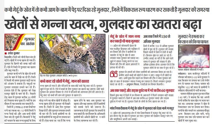 BhimArmyChief's tweet photo. गुलदार के हमले का मुद्दा विकराल रूप धारण कर रहा है जबकि मेरे द्वारा बार-बार इस मुद्दे को पूर्व में उठाएं जाने के बाद के भी भाजपा की डबल इंजिन सरकार का इस पर गंभीर न होना बेहद चिंताजनक हैं और ये दर्शाता है कि गरीब, मजदूर, किसान के जीवन के सुरक्षा की गारंटी देने में पीएम "मोदी की गारंटी" एक दम विश्वसनीय नहीं हैं।

बिजनौर में गुलदार द्वारा किसान पर हमला बेहद पीड़ादायक और चिंताजनक है ,मैं भाई लोकेश के शीघ्र स्वस्थ होने की प्रकृति से प्रार्थना करता हूं और @UPGovt से उनके बेहतर ईलाज की मांग करता हूं और ये भी मांग करता हूं कि गुलदार के हमले को गंभीरता से लेकर लोगों के जीवन को सुरक्षा प्रदान करें, अब ये समस्या मेरठ में भी देखी जा रही है।