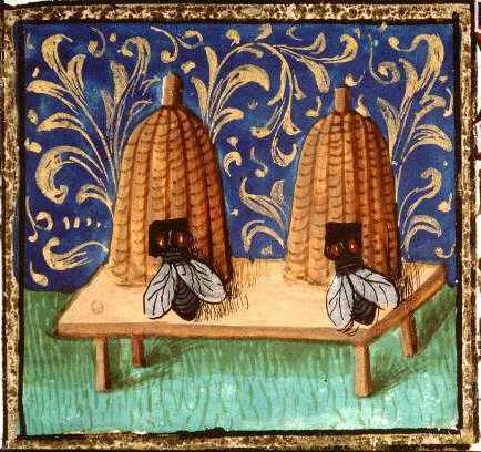 Good morning from the #WelshMarches. Damp and grey here. Yesterday the bees were busy in the garden so here are 2 splendid bee skeps (with very large bees) from the Tacuinum Sanitatis, the marvellous 11th century treatise on horticulture and health.