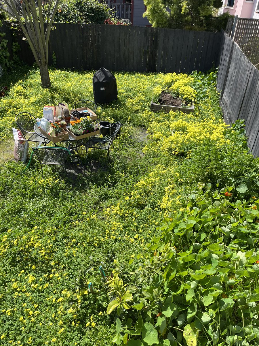 ry_guy23's tweet photo. forgot to document some #gardening progress for posterity. 3 weeks ago we finally cleared out the winter weeds to uncover our garden beds. the girls helped pick out and plant herbs and flowers in them. https://t.co/ZAeXAlhrLF