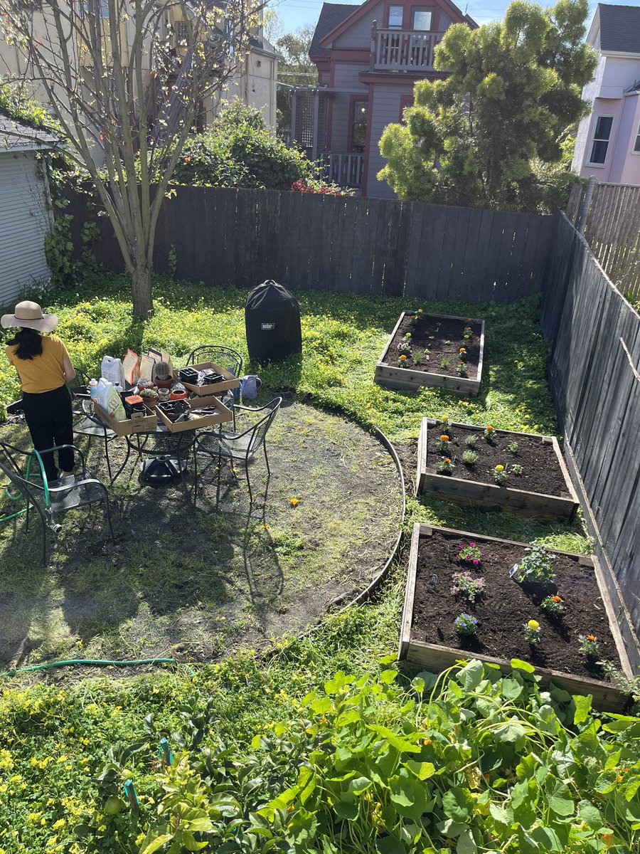 ry_guy23's tweet photo. forgot to document some #gardening progress for posterity. 3 weeks ago we finally cleared out the winter weeds to uncover our garden beds. the girls helped pick out and plant herbs and flowers in them. https://t.co/ZAeXAlhrLF