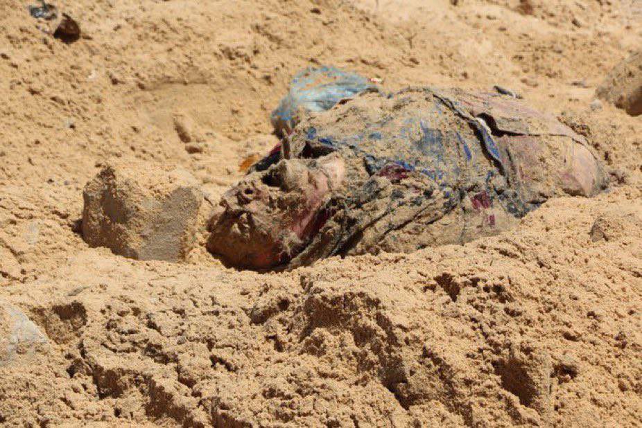 Seyed Mohammad Marandi tweet media