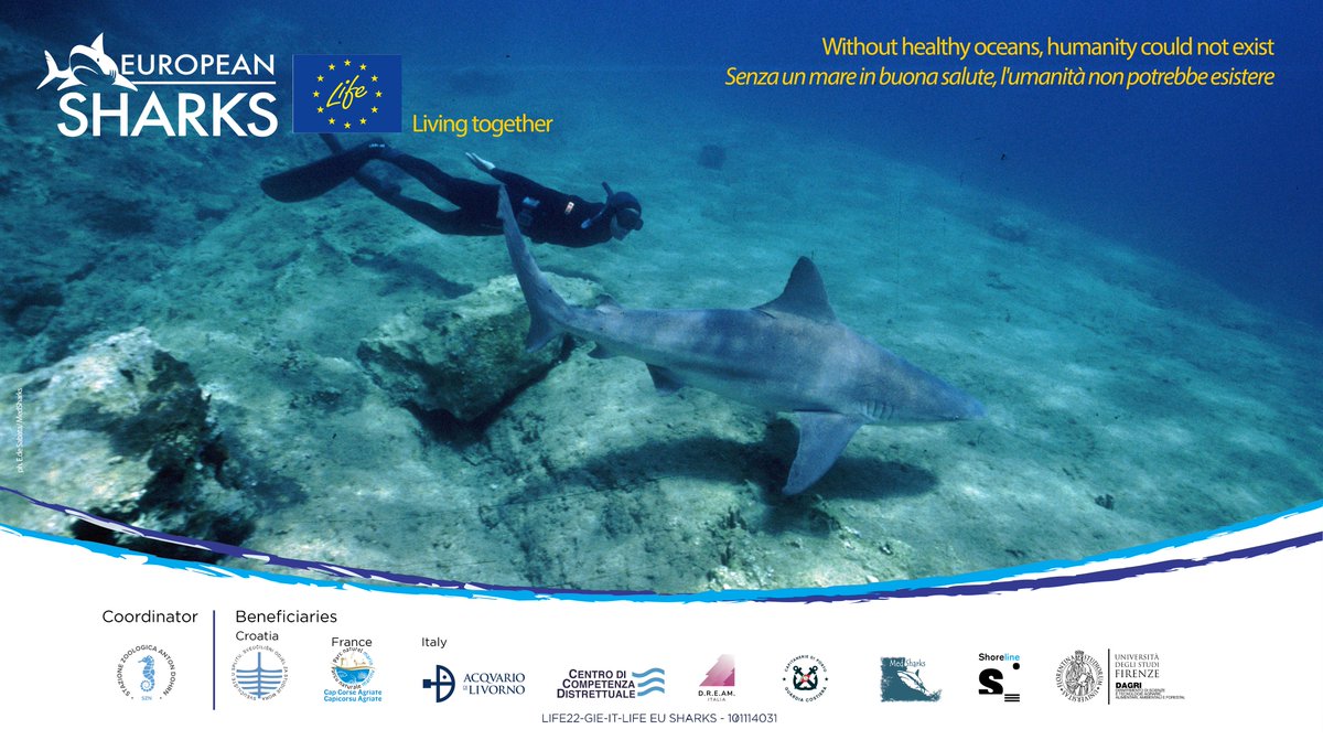 'Living Together' is our motto. Because #sharks are the guardians of the Oceans, and without healthy oceans, humanity could not exist. Happy #EarthDay promoting harmony with Nature and the Earth - tonight we'll spread #sharklove at a cinema in Rome!