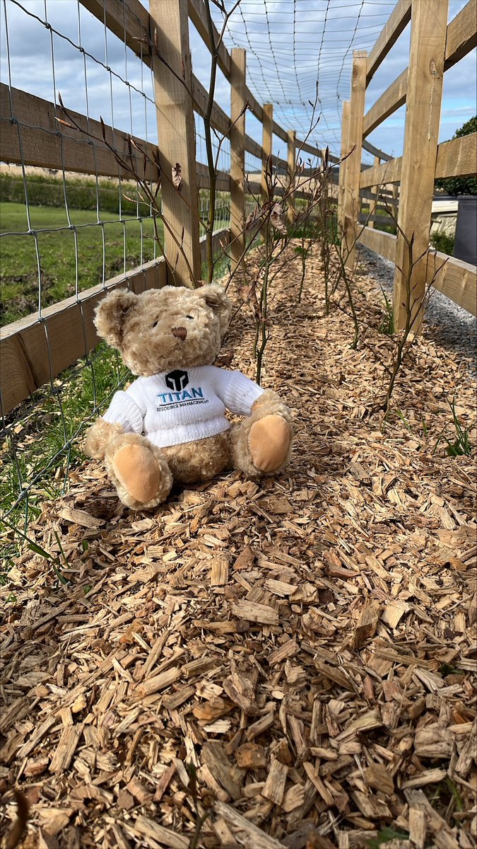 We have planted 10 #trees and 1000 hedge plants for earth day and also our 10 year anniversary #decade #business #waste #wastemanagement #earthday