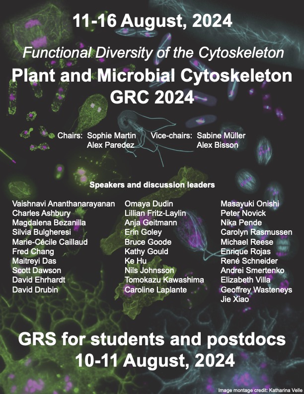 The program of the Plant and Microbial Cytoskeleton GRC is online: grc.org/plant-and-micr… Lots of opportunities for short talks! Re-tweet and submit your abstracts! #cytoskeleton #actin #microtubules #septins #yeast #plants #bacteria #archaea #protists