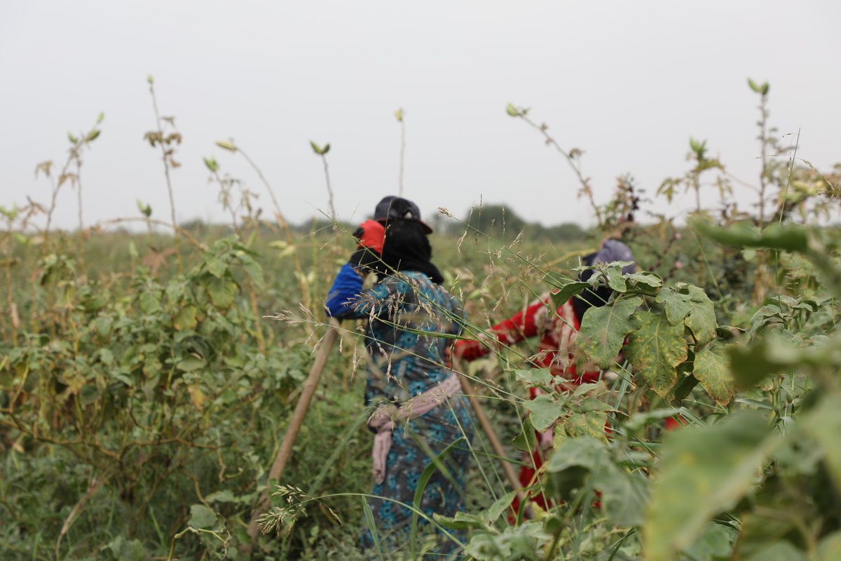 On #InternationalMotherEarthDay, Syria faces a new environmental threat. Devastating wildfires have destroyed crops, forests and livelihoods. The long-term impact on the environment is a major concern. We need to support efforts to protect Syria's precious natural resources.