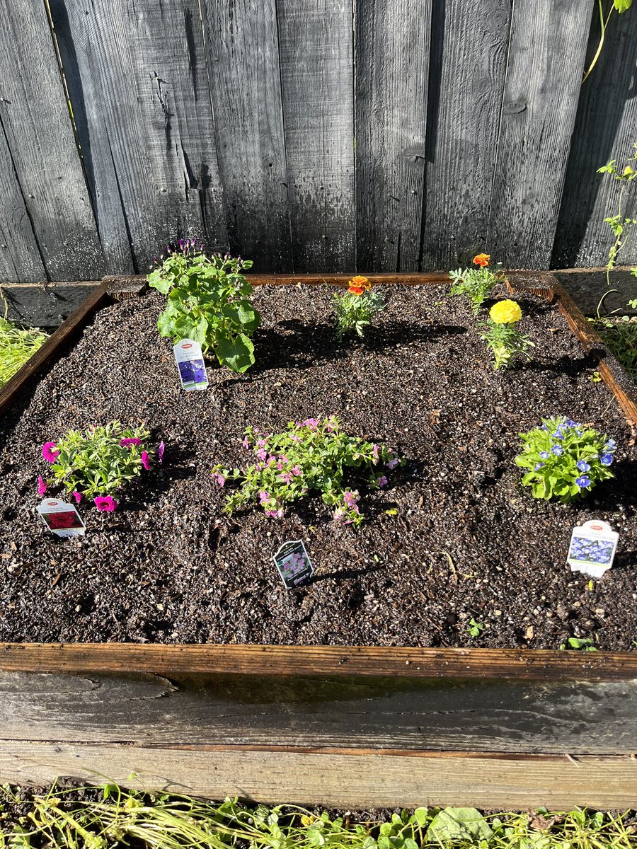 ry_guy23's tweet photo. i &amp; d made some good choices with the flower selection. #gardening https://t.co/GgE5ycHxYX