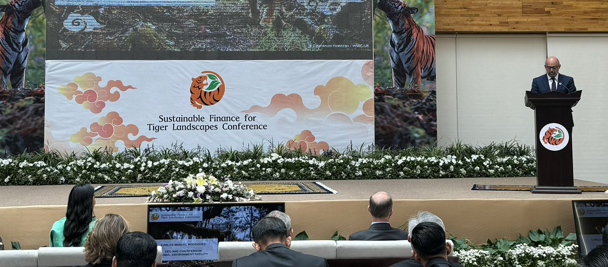 RobbieBisset's tweet photo. .@theGEF CEO @cmrodrigueze — “The tiger community must grab the political and financial opportunity”

The Sustainable Finance for Tiger Landscapes Conf aims to mobilize US1 bn in new funding over 10 years for 🐅 conservation

https://t.co/aetcOrDKHG
#investintigers #tigerfinance https://t.co/EPhOZCEgdB