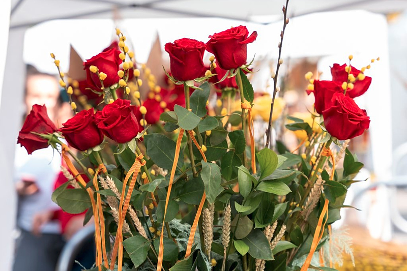 Centres Cívics BCN tweet media