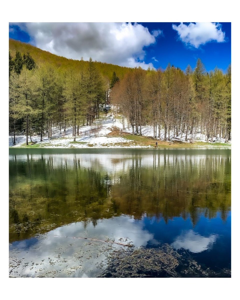 Scende la neve soffice e silenziosa, avvolgendo la natura in un fresco abbraccio primaverile ❄️
Ph. varie_ed_eventuali_ph | #inEmiliaRomagna #lagodellaninfa