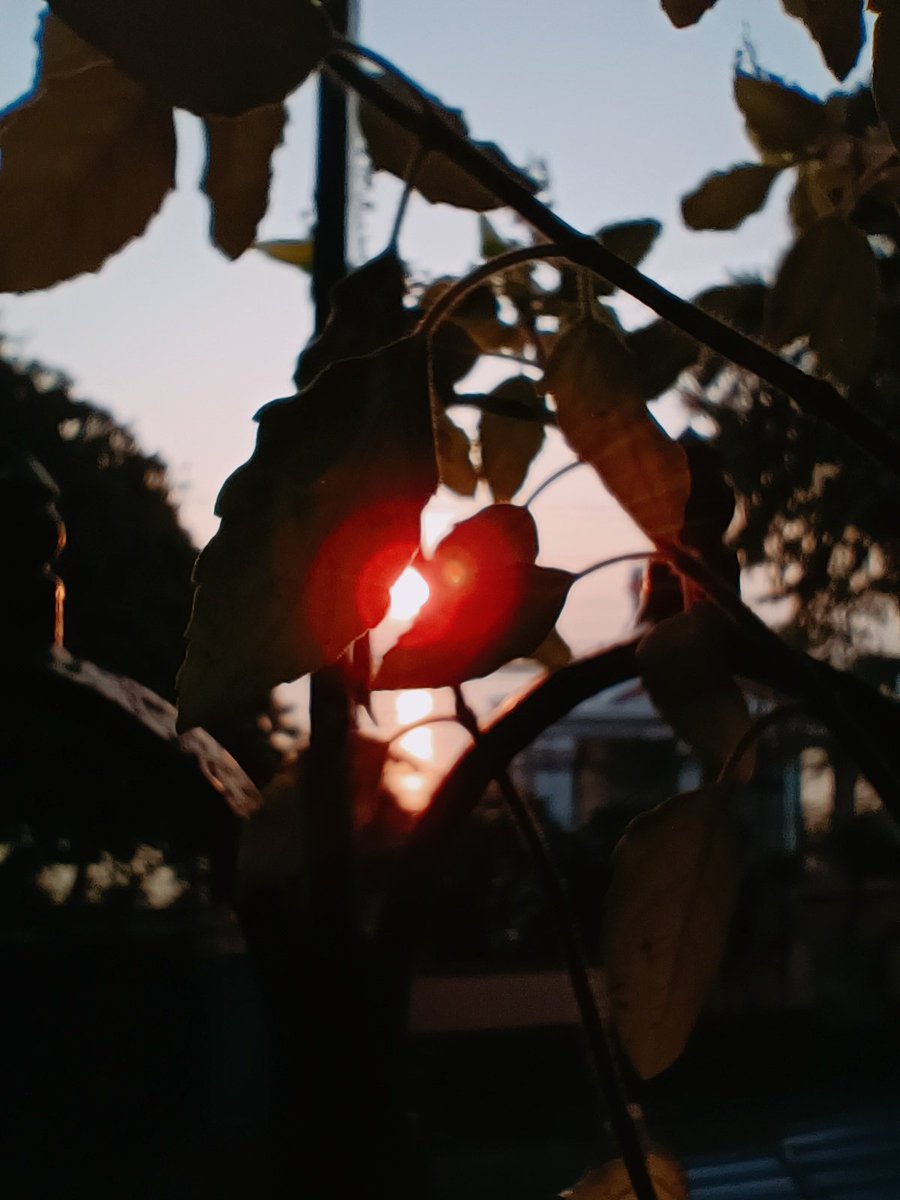 AyannaBose's tweet photo. Together, let's make every hour count in our commitment to sustainability and conservation.
Happy Earth Day ☀️🌍🌄🌱
#EarthDay #SeasonsOfChange #ProtectOurPlanet #sunrise #mobilephotography #photooftheday #Trending https://t.co/sDvzuJ9kK8