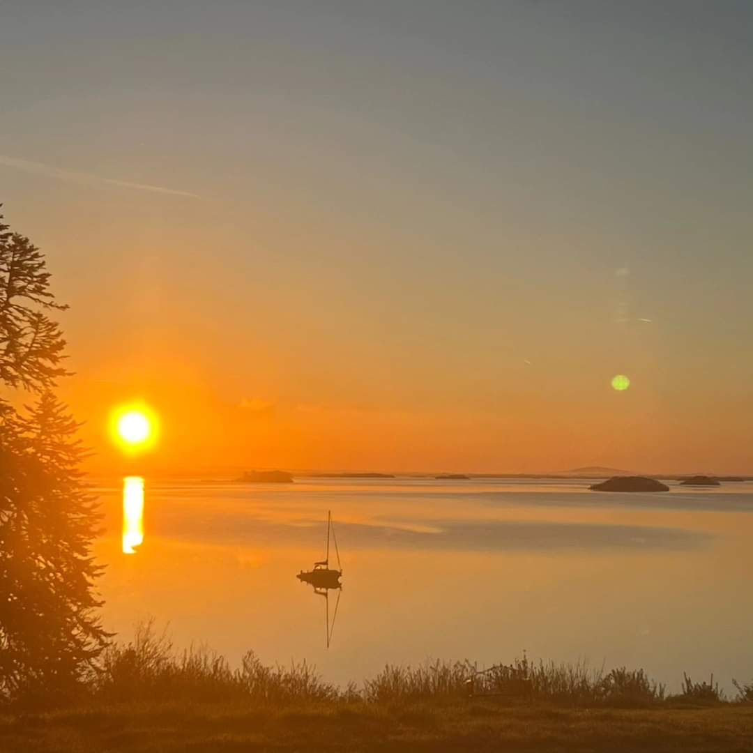 Rise and smile... It's another beautiful day! ☀️ We absolutely love this early morning sunrise over Lough Corrib from Currarevagh House! 🔥😍 📸 @Currarevagh 📍 Currarevagh House, Oughterard, Connemara #Sunrise #LoughCorrib #Oughterard #Connemara #Galway #Ireland #VisitGalway