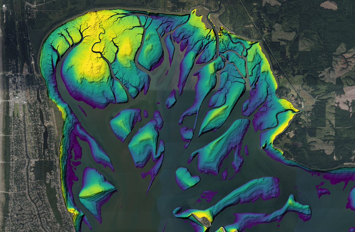 SatelliteSci's tweet photo. Two beautiful coastal environments on opposite sides of the planet, mapped in 3D using @GeoscienceAus #DEAIntertidal. 🏖 🛰

👈 Grays Harbor, WA, USA
👉 Incheon, South Korea

Mapped from Microsoft PC #Sentinel2 and #Landsat satellite data, loaded with @OpenDataCube and @STACspec! https://t.co/Z0fgcRHd7i
