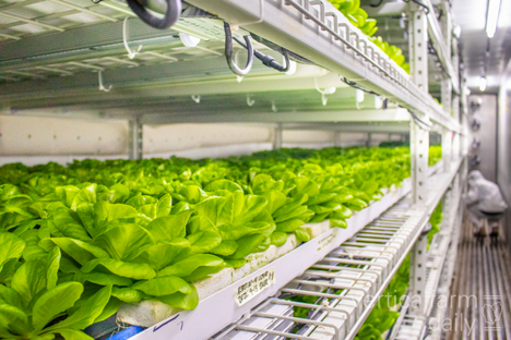 Indoor Farming Market Hits at 9.1% CAGR Revenue to Boost Cross US$ 43.9 Billion by 2032 | IMARC Group

Explore Full Report: imarcgroup.com/indoor-farming…

#IndoorFarmingMarket #IndoorFarming #IndoorFarmingCompanies #IMARCGroup #MarketResearchReport #MarketReport #IndustryReport #USA