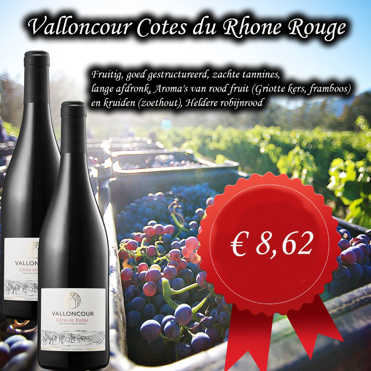 Valloncour Cotes du Rhone Rouge
wijnhandelgrandcave.nl/keuze-menu-wij… #frenchwine #wine #cotesdurhone #rodewijn #wijnhandelgrandcave #yerseke #goes #zeeland #valloncour #wein #vin #wine #vino