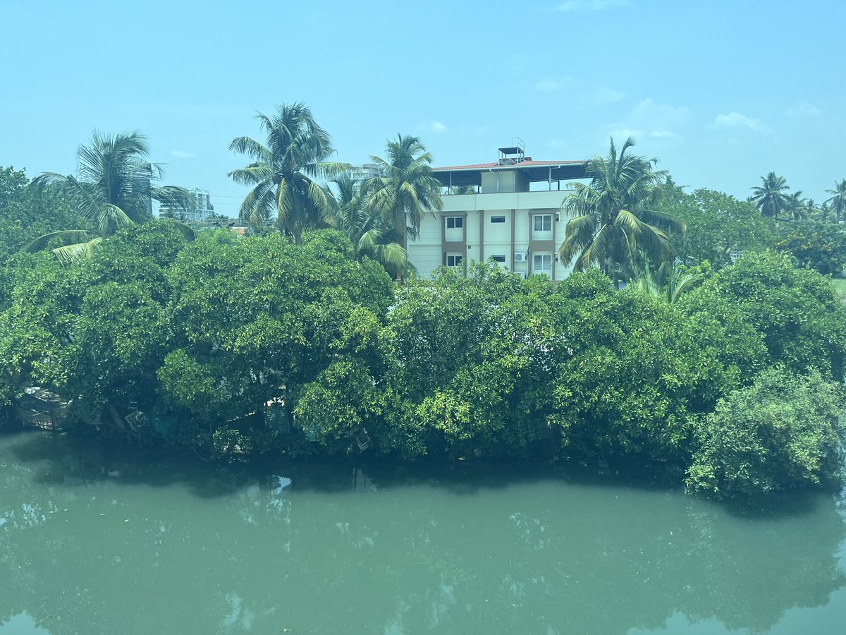 SloganMurugan's tweet image. #IndianTideLine Mangrove spotting from train. Thevara/ Kondurutti - Ernakulam