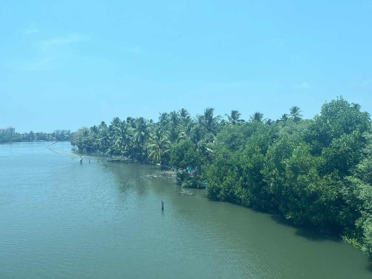 SloganMurugan's tweet image. #IndianTideLine Mangrove spotting from train. Thevara/ Kondurutti - Ernakulam