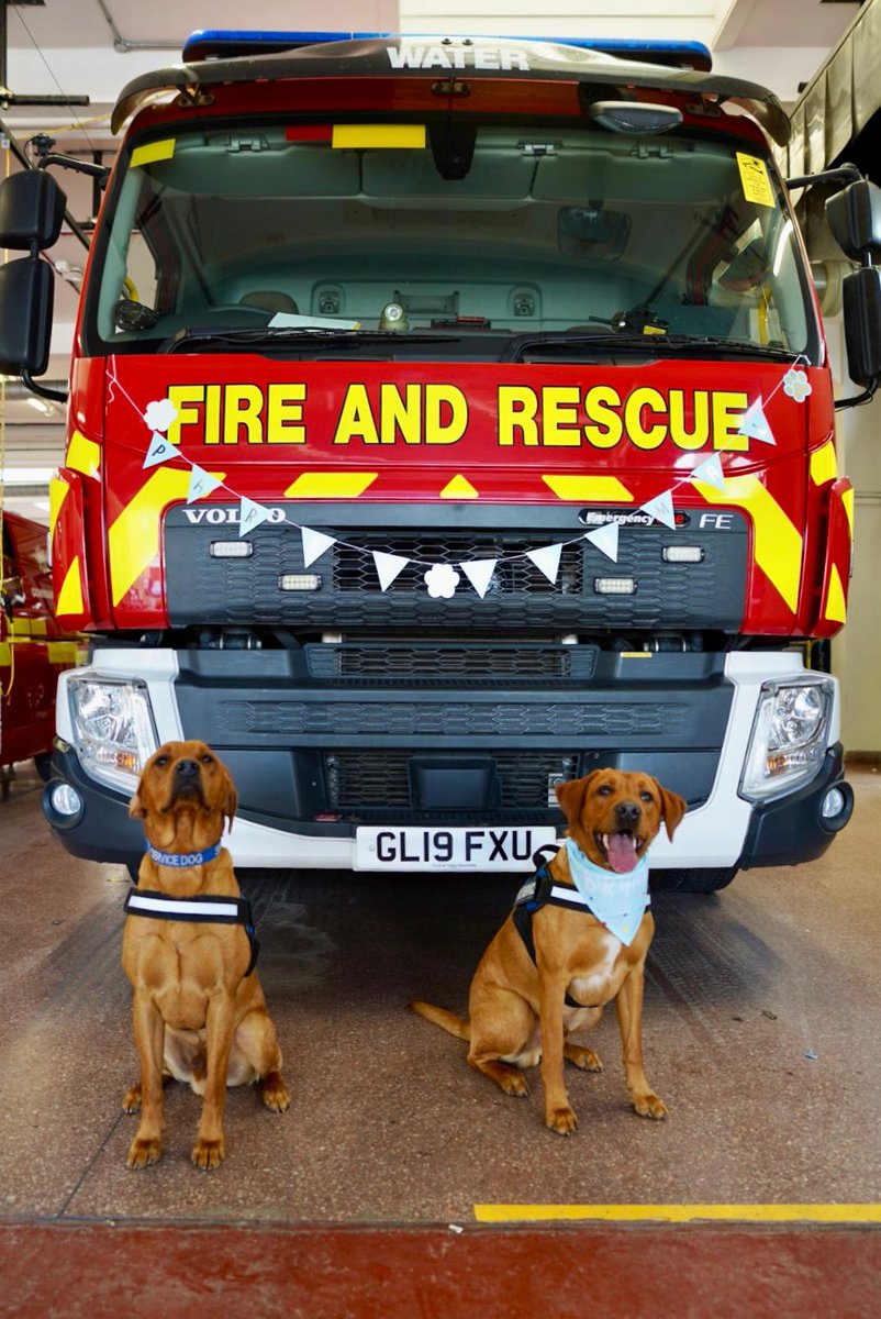 Hants_IOW Fire Dogs tweet media