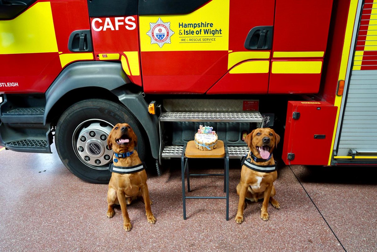 Hants_IOW Fire Dogs tweet media