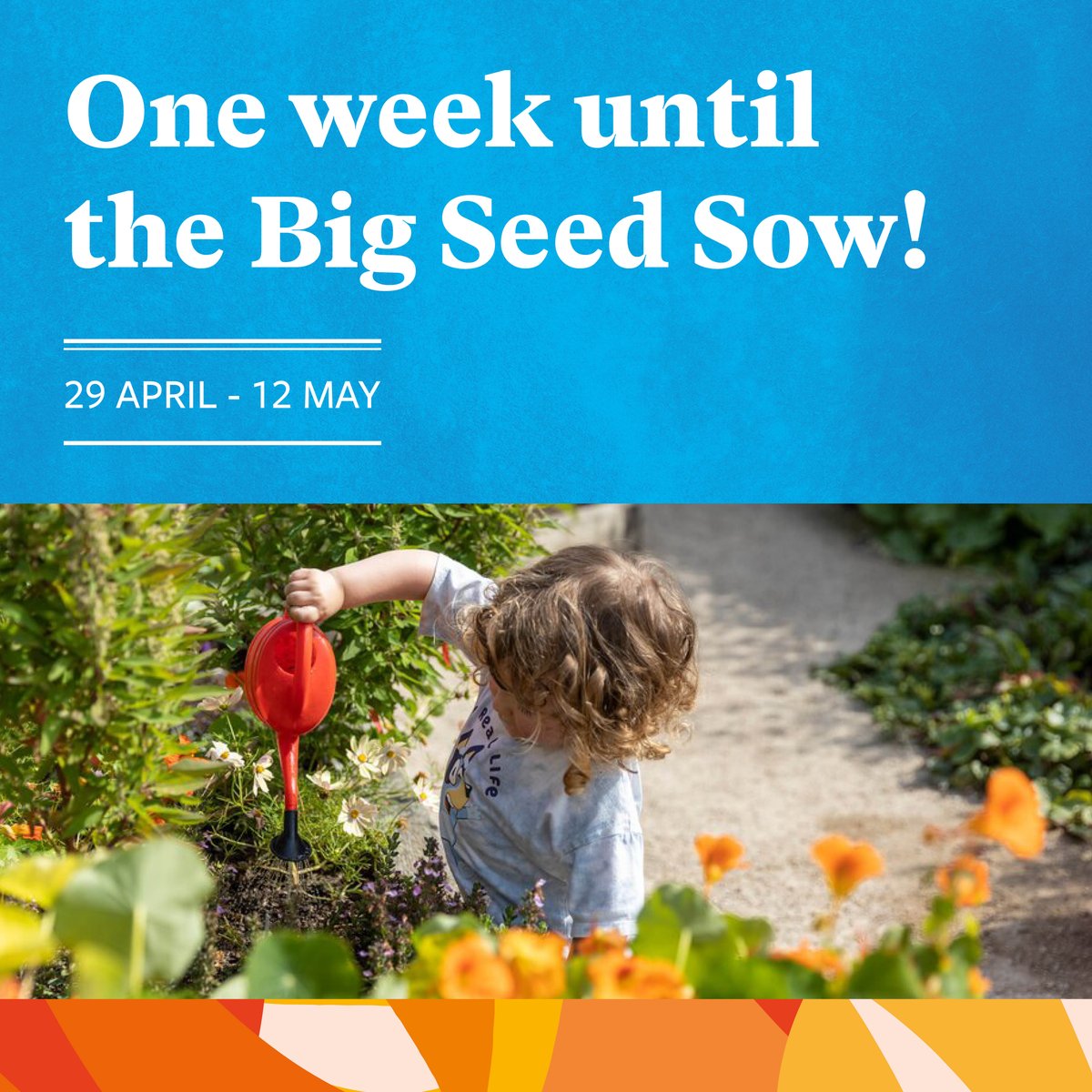 Celebrate this #EarthDay by prepping your beds and washing your pots... it’s almost time for the #RHSBigSeedSow! 🌱💦 Join schools, groups and individuals across the UK as they share their love of growing with their community, 29 April - 12 May. rhs.org.uk/get-involved/g…