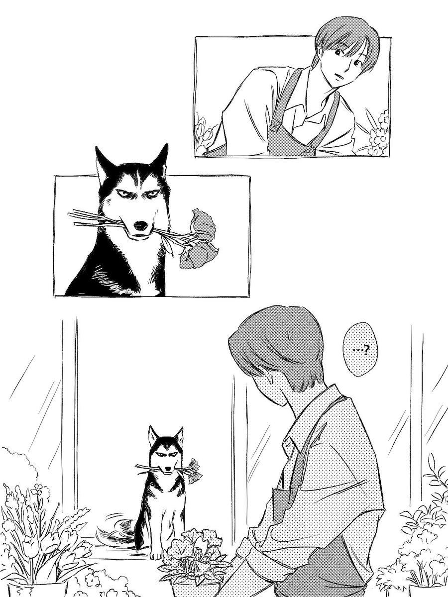 trrikko's tweet photo. 니코는 강쥐 https://t.co/Di47FPPj5B