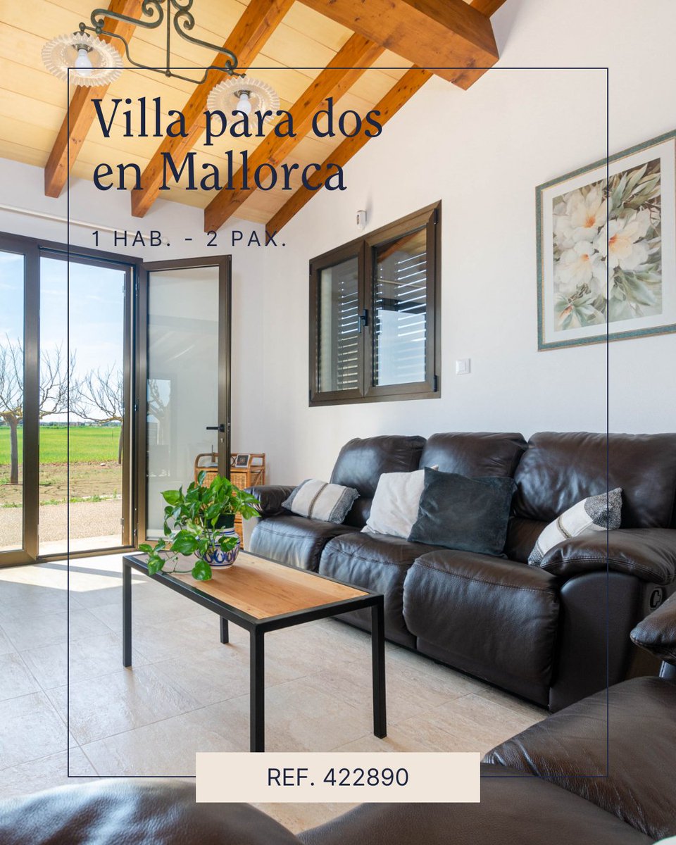 Muchosol tweet media