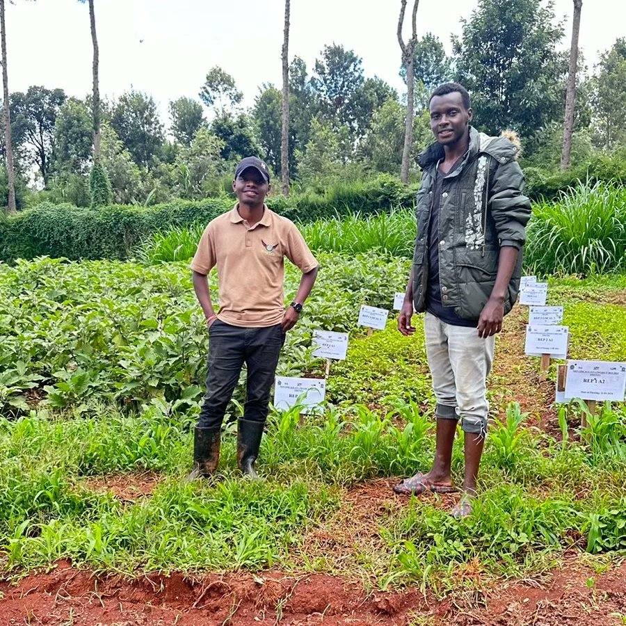 If every Kenyan could utilize their tillable land to plant food crops, either for subsistence or commercial purposes, the issue of food shortage would be a thing of the past. Every consumer can be a farmer. 

#KilimoNiMboka #Farmforthefuture