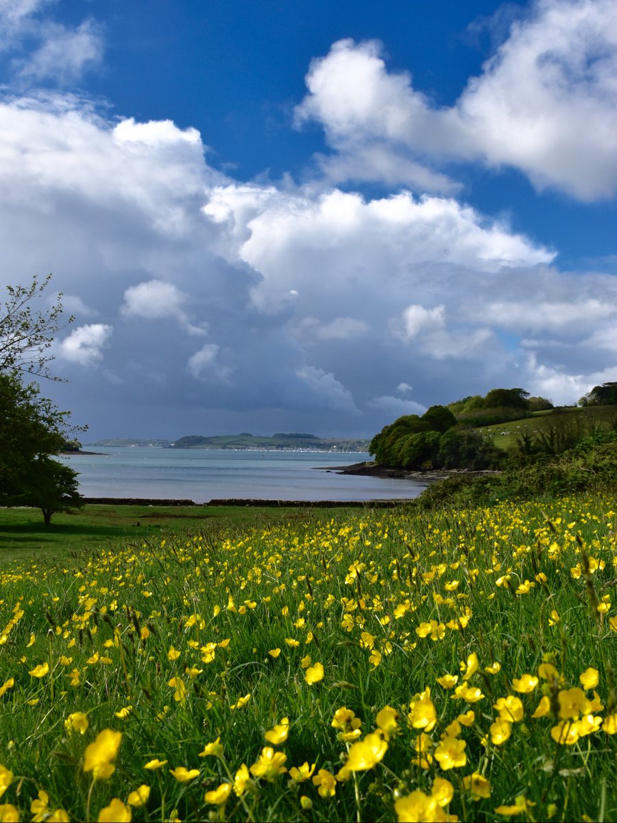 To celebrate #EarthDay we want to hear about the places you love and want to protect for future generations. Post a picture of your happy place in the comments. We'll start with a field full of pollinator friendly buttercups that leads down to the sea. Photo: Hilary Daniel