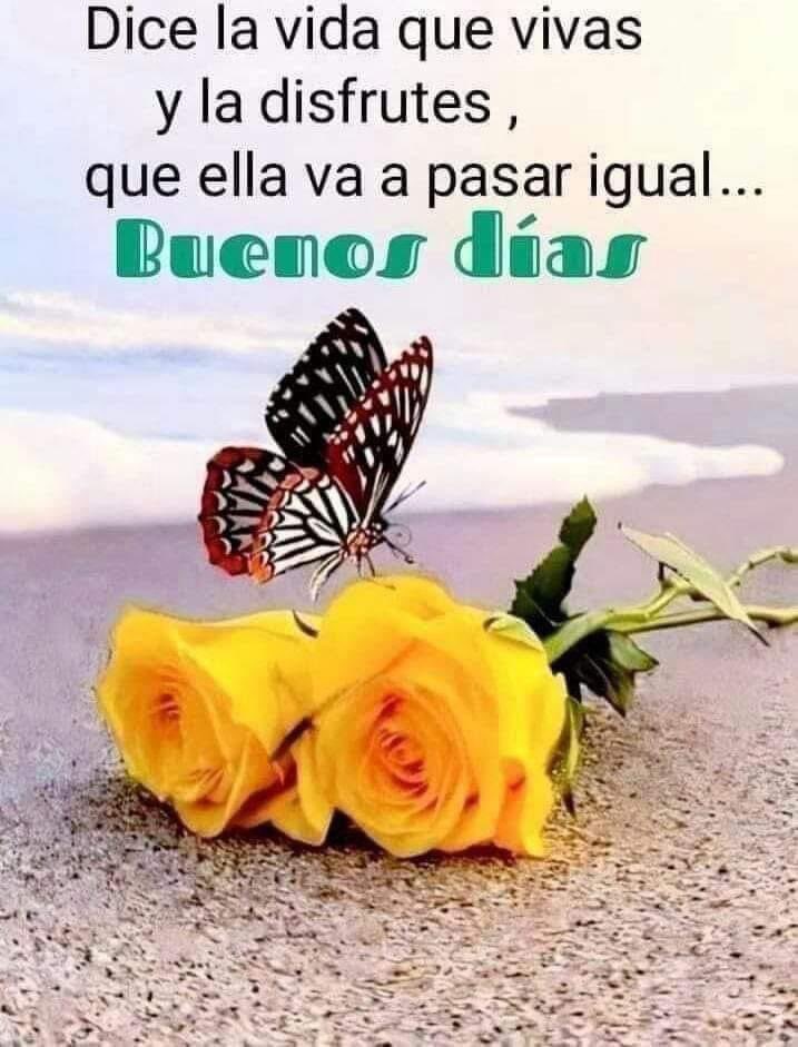 Psico-Avanzando (@avanzandoacasa) on Twitter photo 
