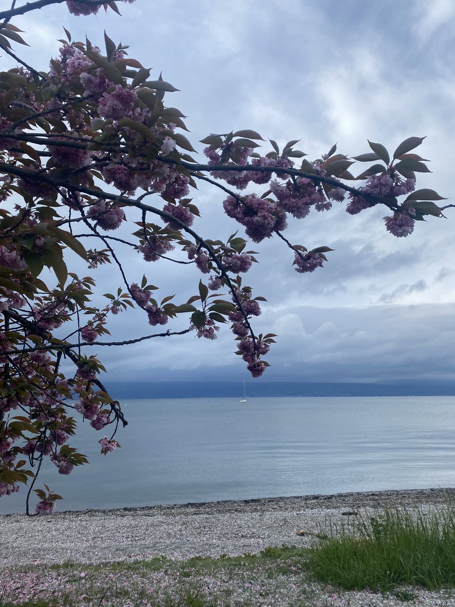 Madame_Poppins's tweet photo. #MarcheUneHeure il fait un froid presque polaire mais je vous ai ramené un peu de beau malgré tout. #Léman #StSulpice
Bon début de semaine. https://t.co/9gV4qSjzeG