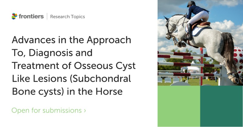 🐴 Our new Research Topic on Osseous/Subchondral Cyst Like Lesions (OCCLs) in horses is now open for submissions. 🔬 These radiolucent cavities can impact equine bone health and performance. Find out more and submit here: fro.ntiers.in/3qGb