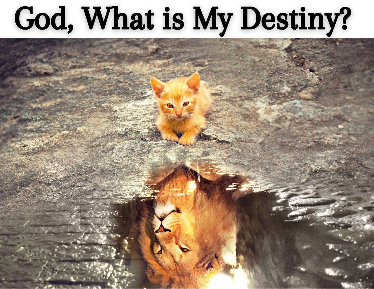 God has a specific plan and destiny for your life that is greater than you think but unfolds like a rose! So, here's how to discover it! #FreshManna #ShortRead  #DailyDevotional 'God, What is My Destiny?' wp.me/pavSn-2RS