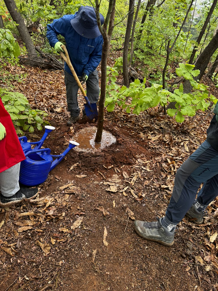 HNTDMC's tweet photo. H&amp;T with Forest of Life🌳
Last Saturday, H&amp;T team came together at OnsuPark for a tree-planting.
It was a meaningful day of giving back to nature!
#생명의숲 #H&amp;T #에이치엔티 #DMC #PCO #PEO #HappyandTogether
#H&amp;TKOREA #thebestDMCinKorea #leadingPCO #leadingmeetingplannerKorea #CSR https://t.co/4Ow9Xmh4tZ