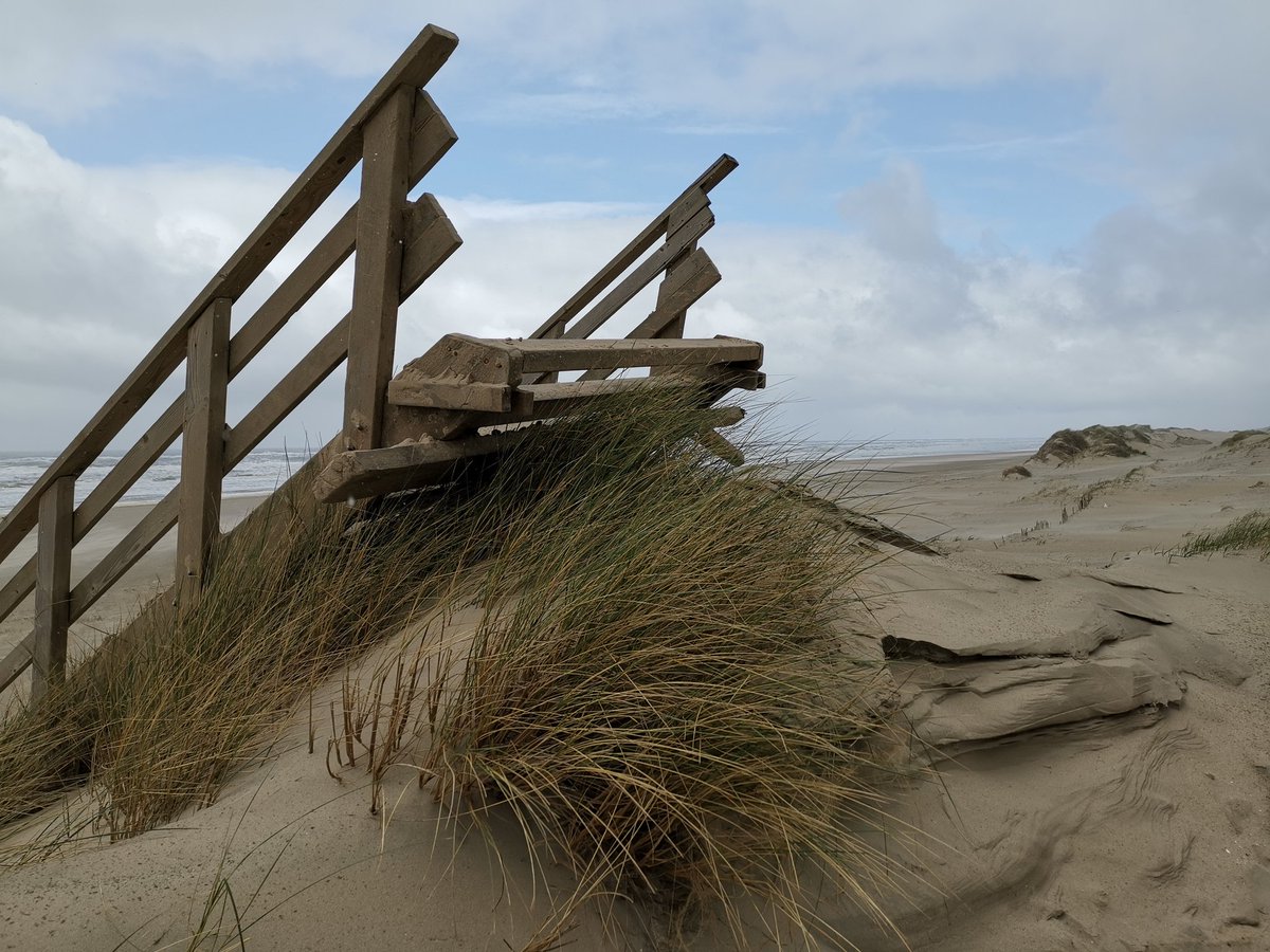 vrijezangvogel's tweet photo. Het was het waard zaterdag, #groenestrand. Nog een paar foto's om jullie allen #inspiratie voor de week te geven.
Blijf #dromen en als dat niet lukt pluk het bloempje op jouw plek.
oa @gerard_tulip @MarliesKdG
#LongCovid #MECFS #PAIS https://t.co/qO1EChA9xF