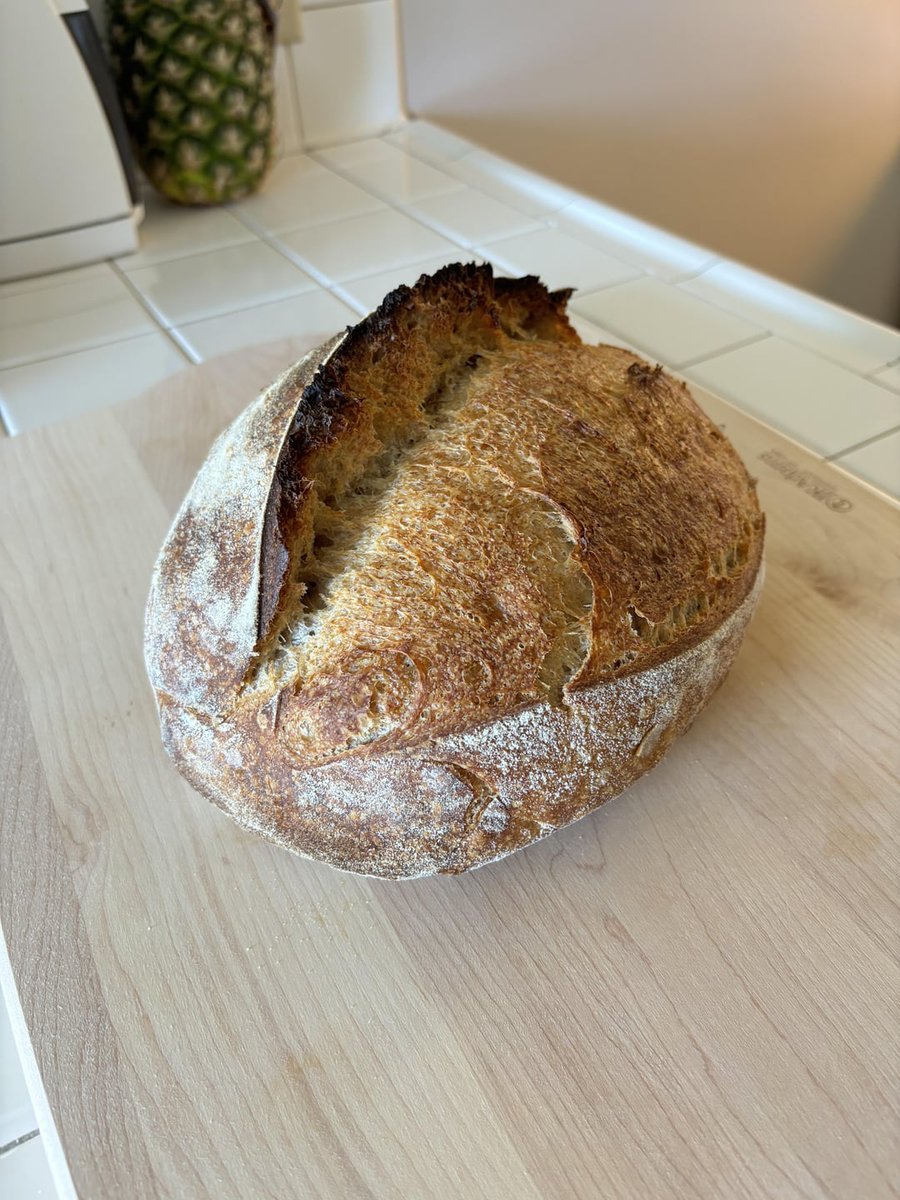 My very first loaf!
 
diningandcooking.com/1346770/my-ver…
 
#Bread #Sourdough #SourdoughBread