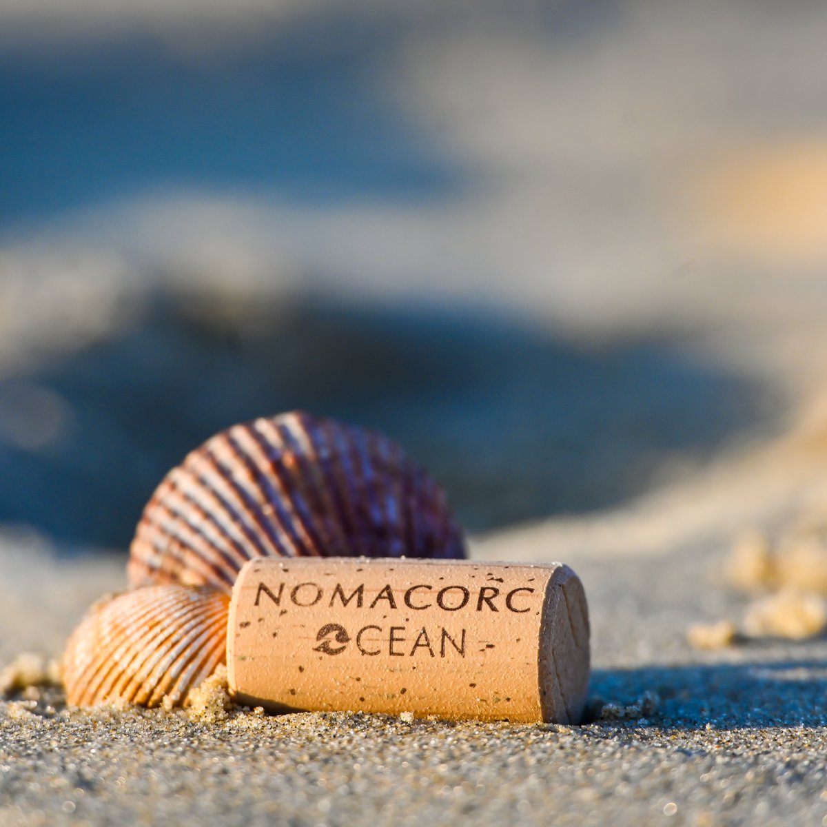 Happy #EarthDay! 🌍 Did you know? #Donnafugata is the first winery to use the Nomacorc Ocean, made from OBP collected from coastal areas. A partnership with @Vinventions that reflects our commitment to environmental #sustainability. @SeagreenWench @nanowellbeing @Dan_Lerner